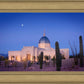 Tucson Cactus Morning