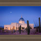 Tucson Cactus Morning