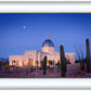 Tucson Cactus Morning
