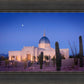 Tucson Cactus Morning
