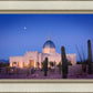 Tucson Cactus Morning