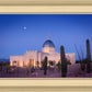 Tucson Cactus Morning