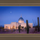 Tucson Cactus Morning