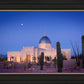 Tucson Cactus Morning