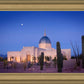 Tucson Cactus Morning