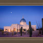 Tucson Cactus Morning