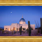 Tucson Cactus Morning