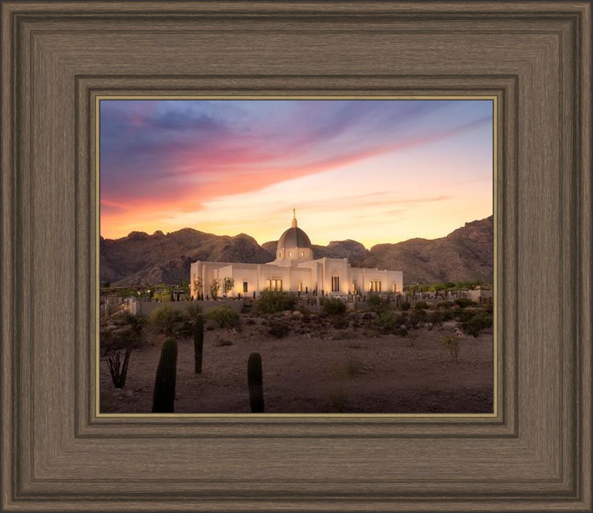 Tucson Catalina Evening