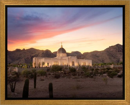 Tucson Catalina Evening