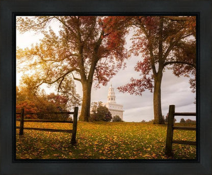 Nauvoo, An Ensign to the Nations