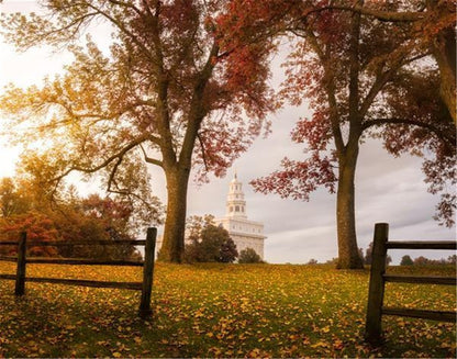 Nauvoo, An Ensign to the Nations