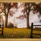 Nauvoo, An Ensign to the Nations