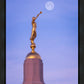 Tucson Trumpet Moon
