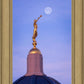 Tucson Trumpet Moon