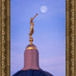 Tucson Trumpet Moon