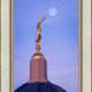 Tucson Trumpet Moon