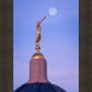 Tucson Trumpet Moon
