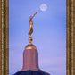 Tucson Trumpet Moon