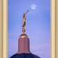 Tucson Trumpet Moon