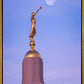 Tucson Trumpet Moon