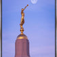 Tucson Trumpet Moon