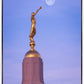 Tucson Trumpet Moon