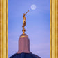 Tucson Trumpet Moon