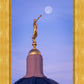 Tucson Trumpet Moon