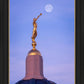 Tucson Trumpet Moon