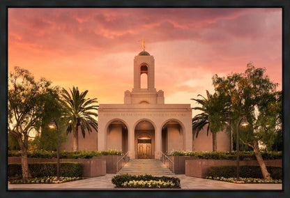 Newport Beach Lift Me Up