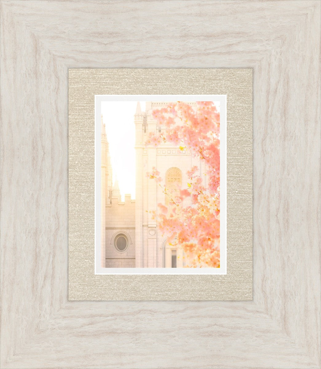 Salt Lake Blossom Glow