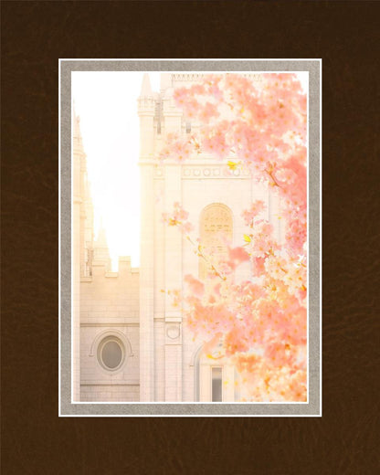 Salt Lake Blossom Glow