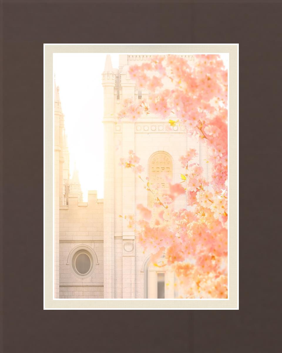 Salt Lake Blossom Glow