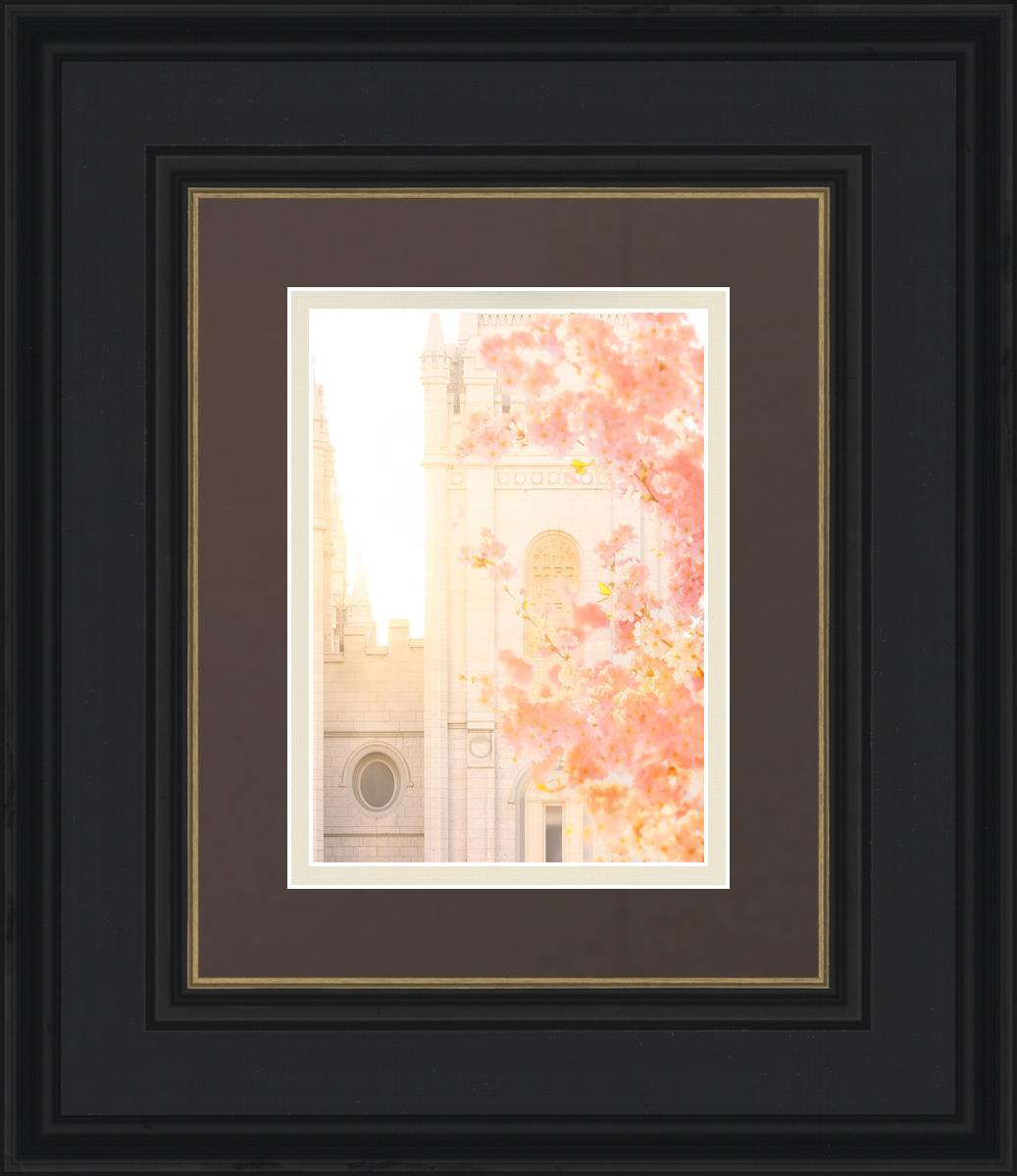 Salt Lake Blossom Glow