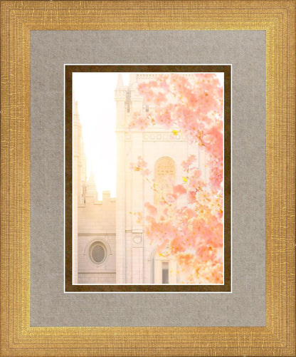 Salt Lake Blossom Glow