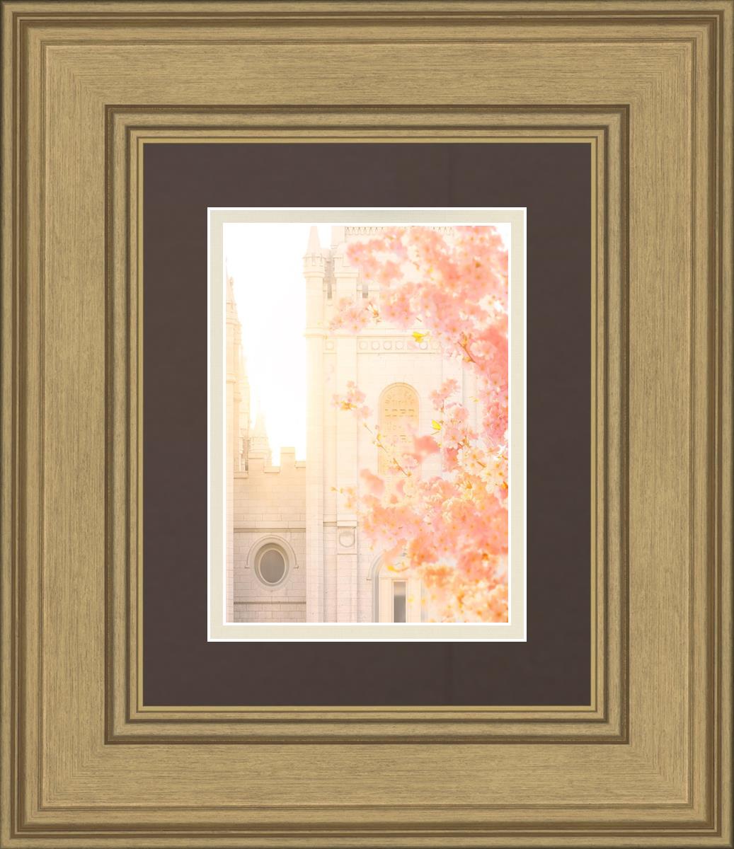 Salt Lake Blossom Glow