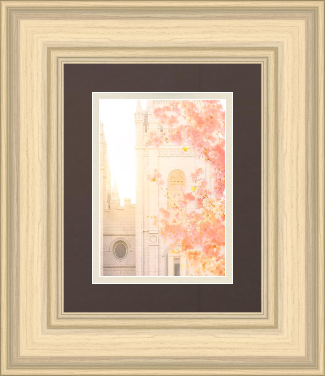 Salt Lake Blossom Glow