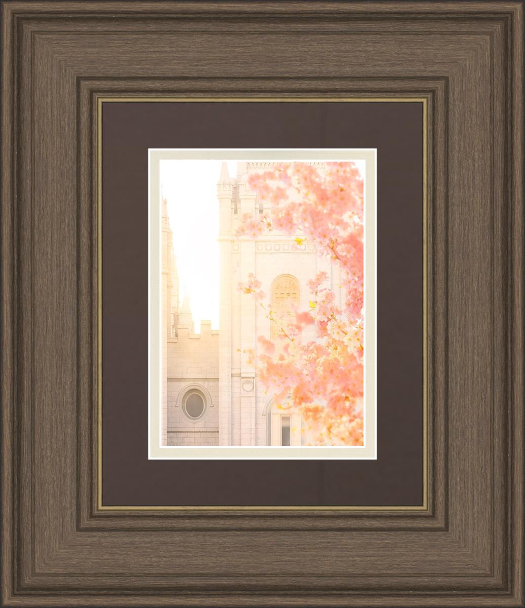 Salt Lake Blossom Glow