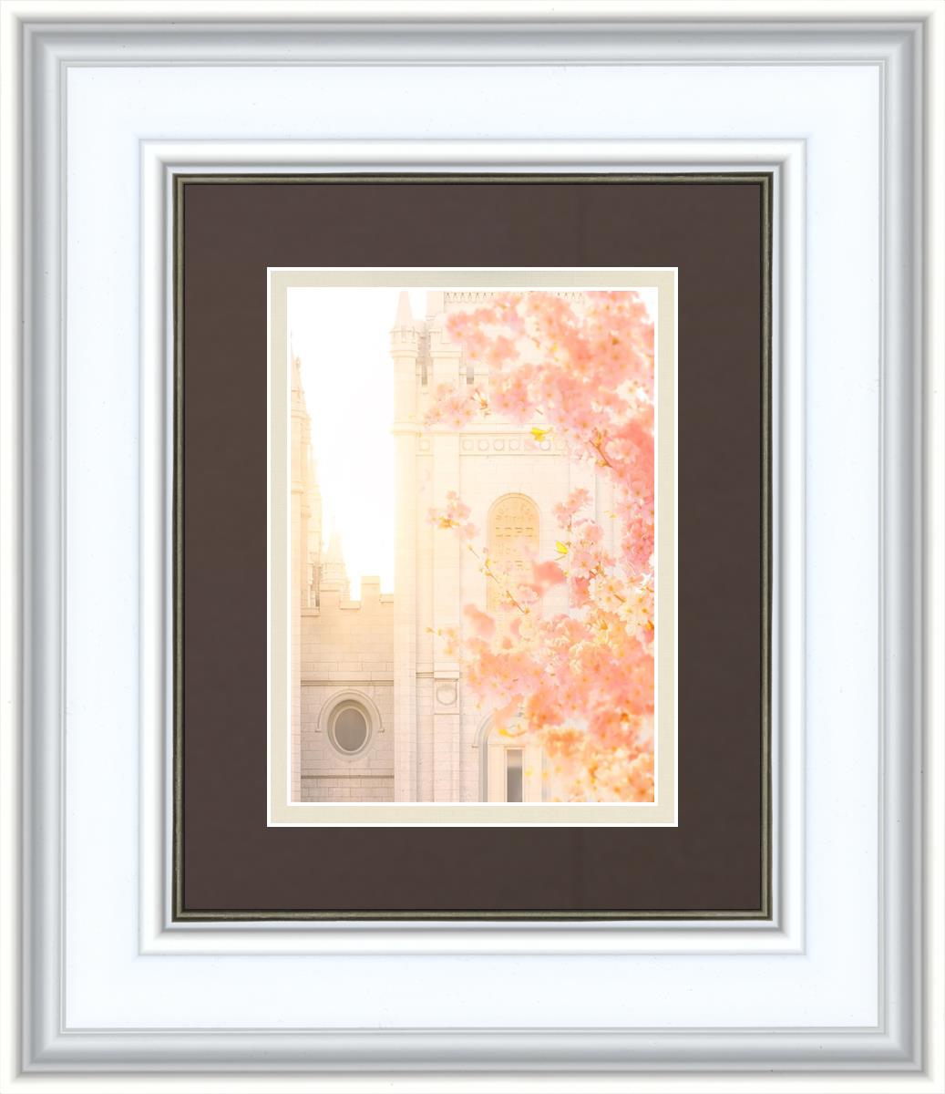 Salt Lake Blossom Glow