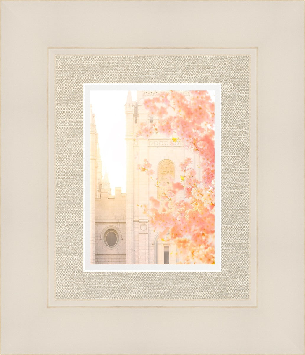 Salt Lake Blossom Glow