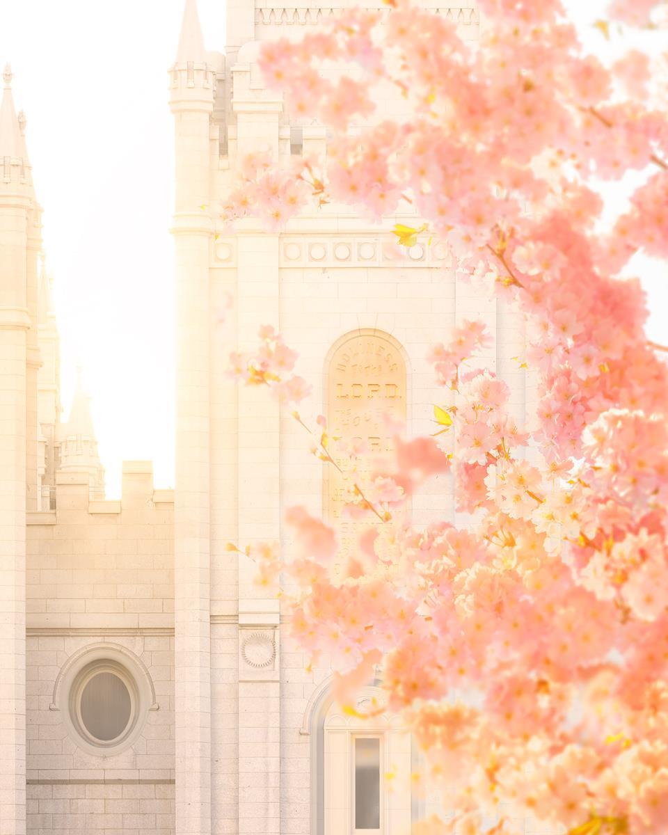 Salt Lake Blossom Glow