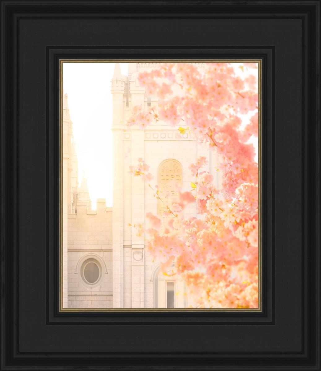 Salt Lake Blossom Glow
