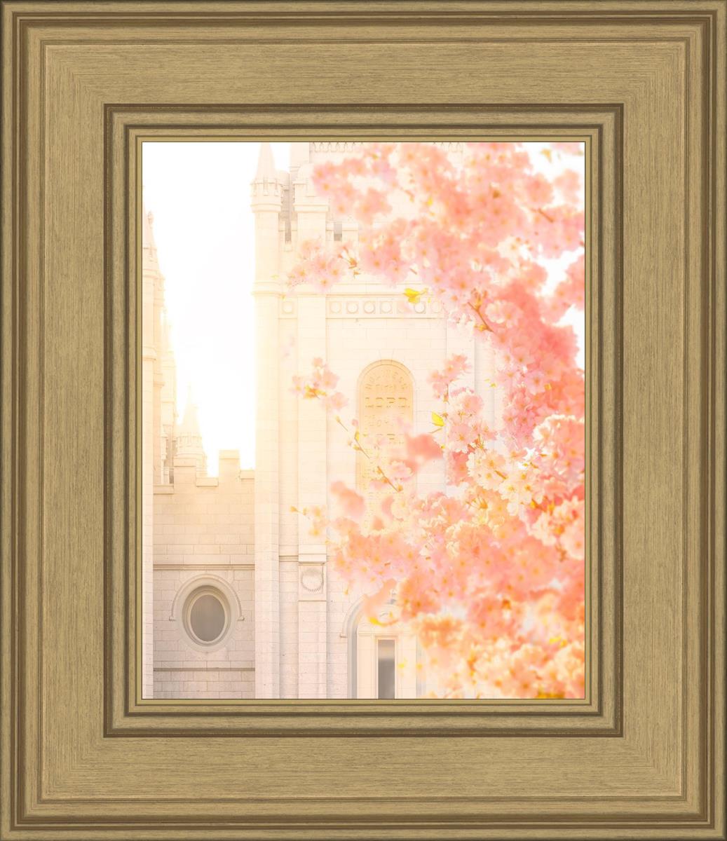 Salt Lake Blossom Glow