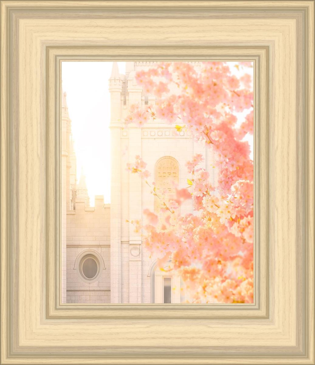 Salt Lake Blossom Glow