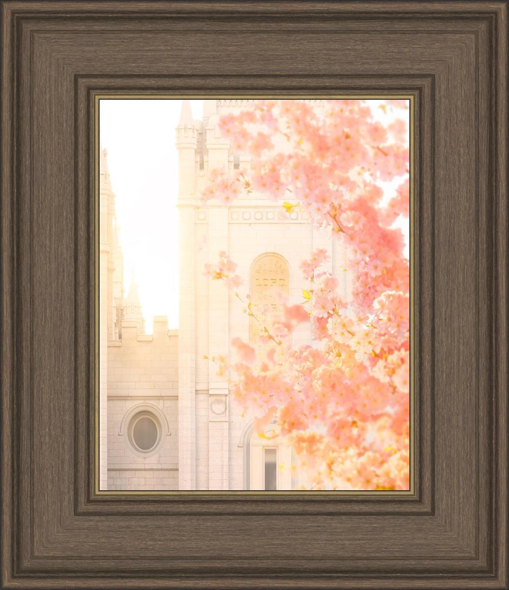 Salt Lake Blossom Glow