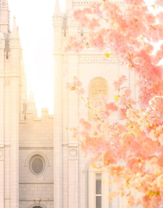 Salt Lake Blossom Glow Gallery Wrap