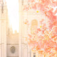 Salt Lake Blossom Glow