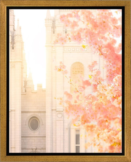 Salt Lake Blossom Glow