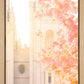 Salt Lake Blossom Glow