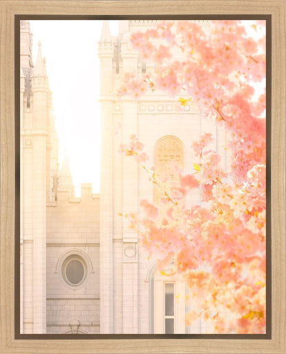 Salt Lake Blossom Glow